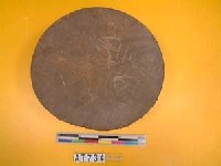 藏品(大鼓)的圖片